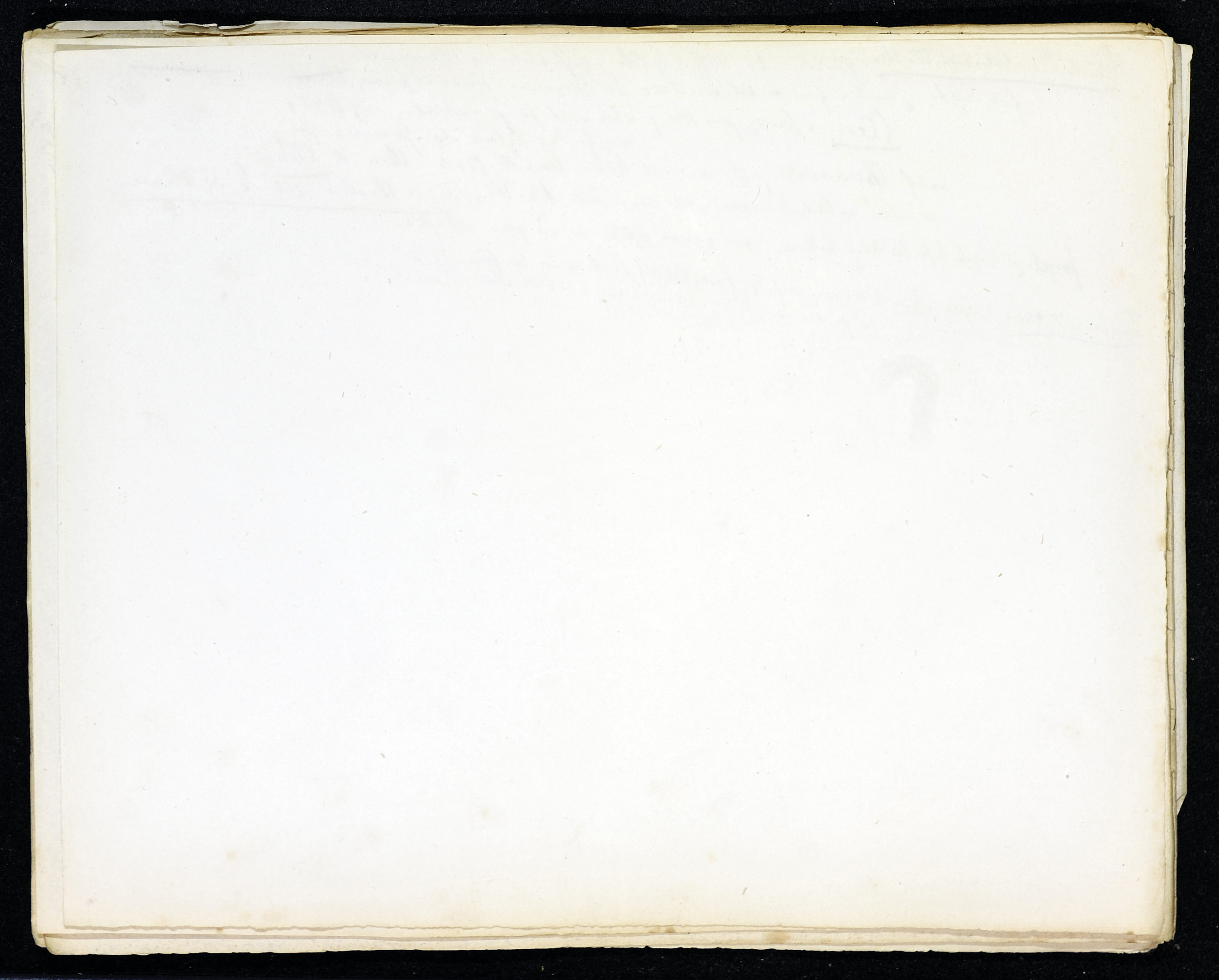 StiAZ-02-Leop-03 1289.jpg